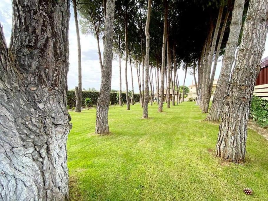 Villa Laoconte Piscina, Jacuzzi E Biliardo Canicattì Kültér fotó